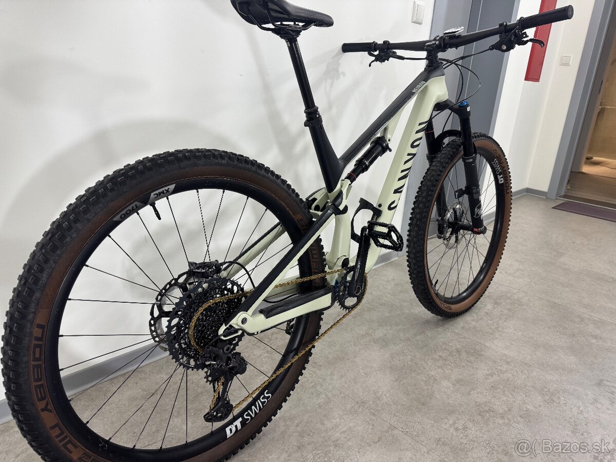 Canyon neuron CF 9 - 6