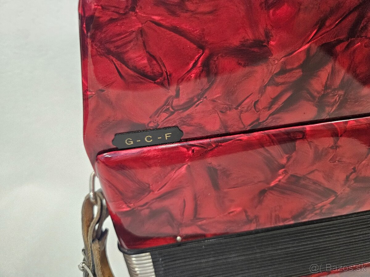 Harmonika heligonka weltmeister - 6