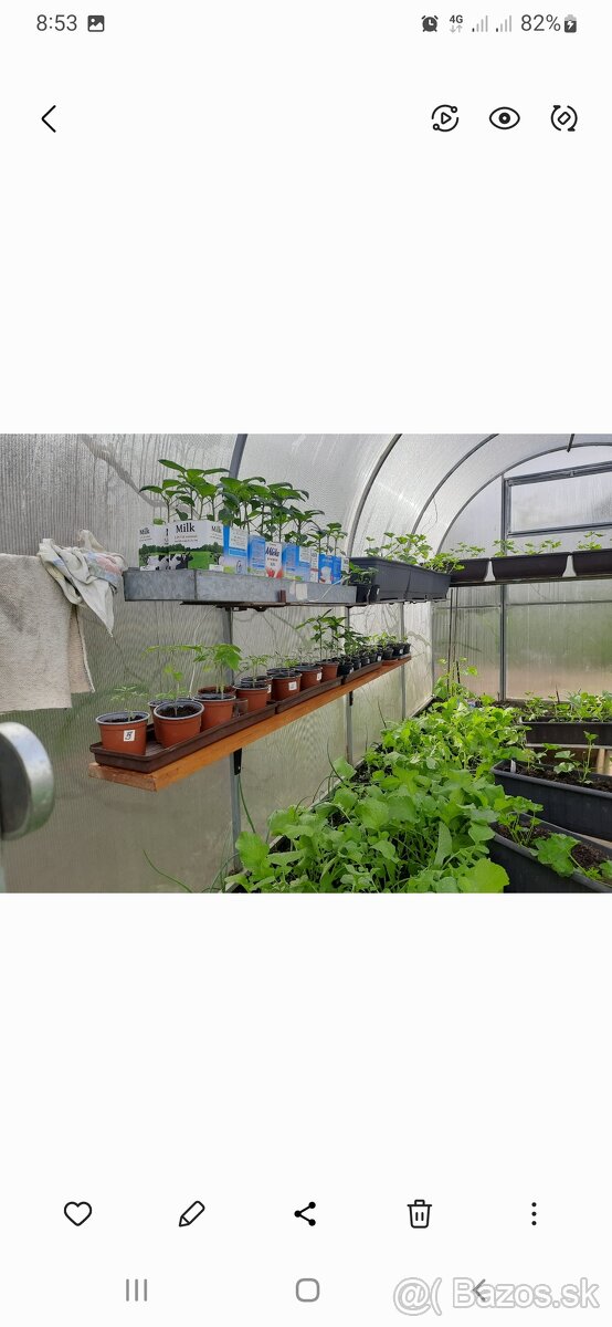 Polykarbonatovy sklenik - 6