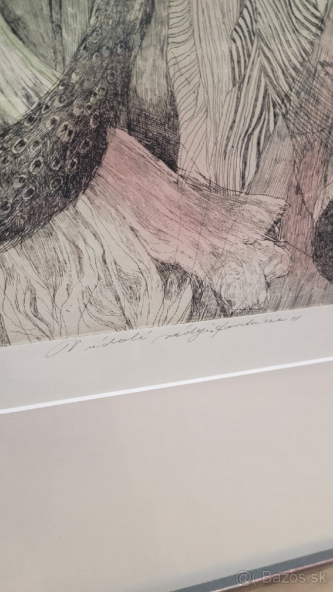 Obraz Katarína Vávrová - 6