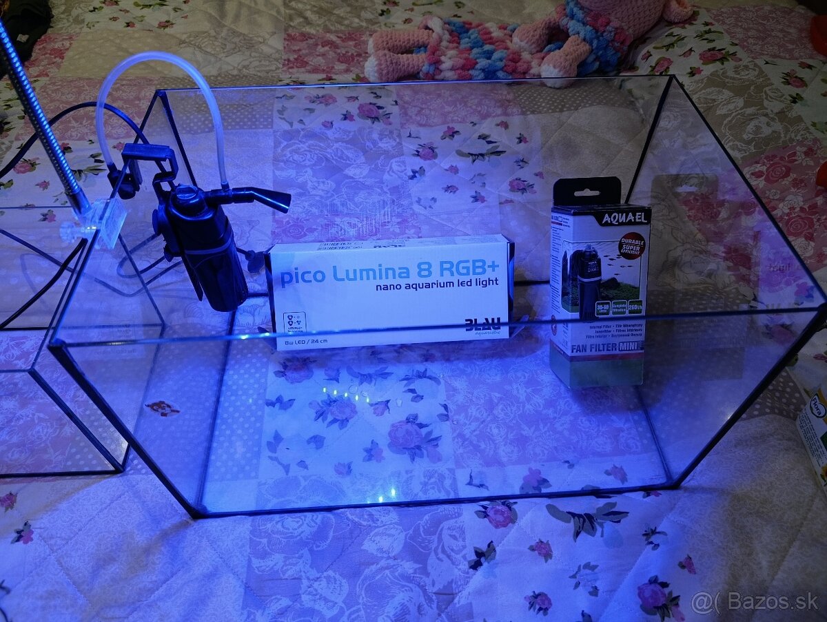 Akvarium pre začiatočníkov - 6