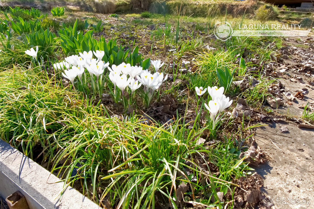 Záhrada s chatkou (363 m2) sídl. Mier Spišská Nová Ves - 6