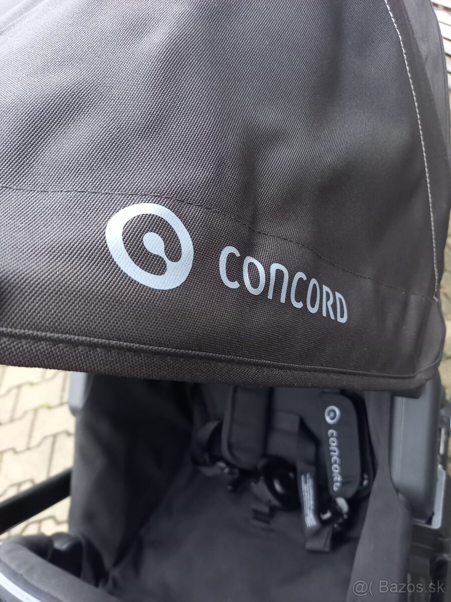 Kocik Concord Camino - 6