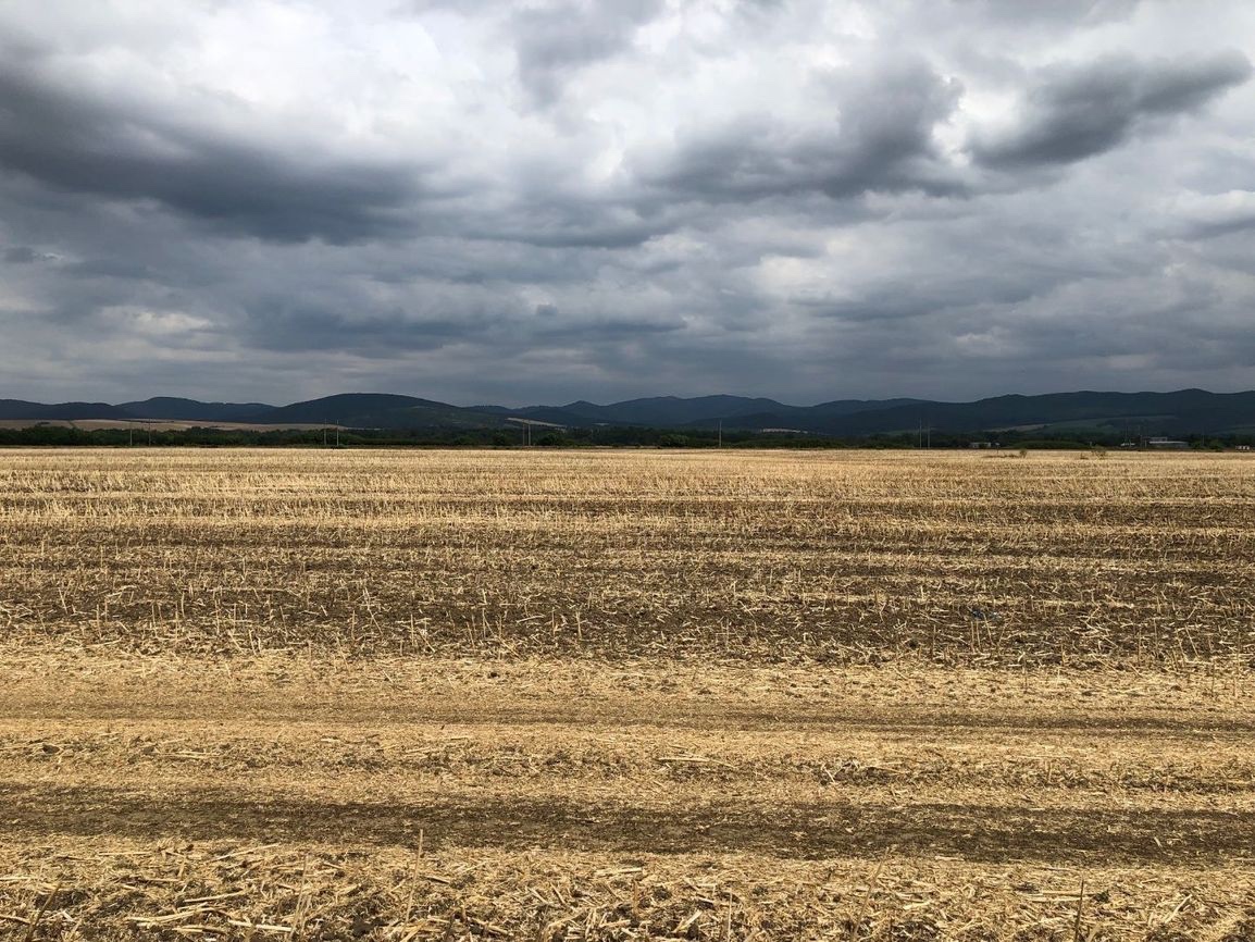 Piešťany – 3.050 m2 ORNÁ PÔDA v podiele 1/1 – Predaj - 6