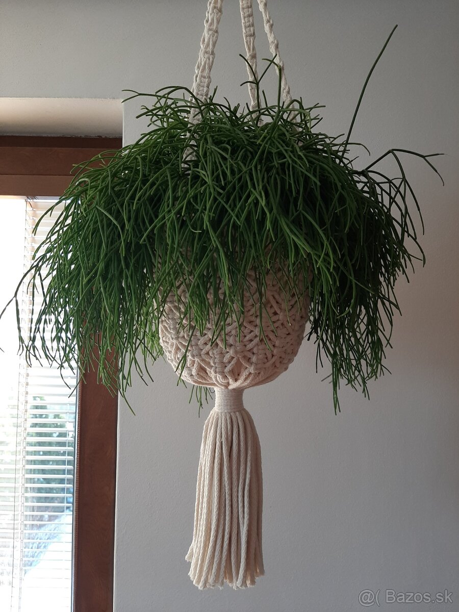 Závesné kvetináče. - 6