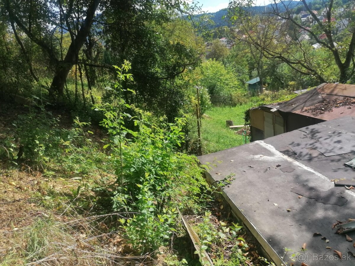 Záhrada v PB Jelšové - 6