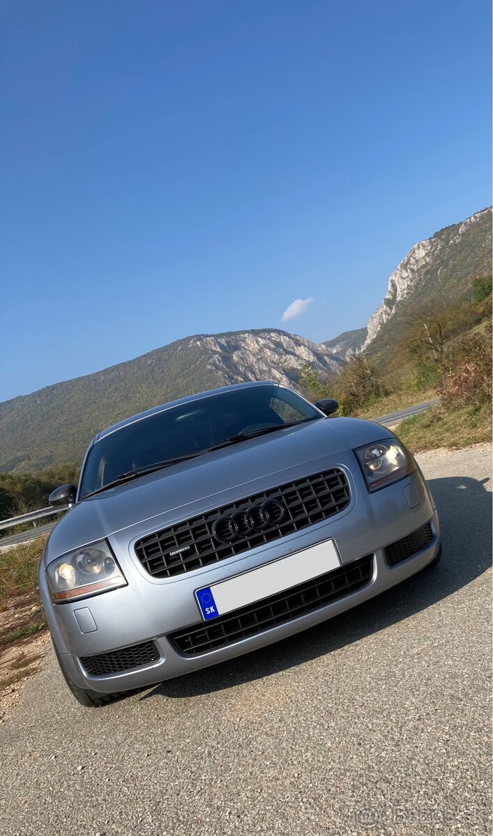 Spodna mriezka z V6 naraznika pre Audi TT mk1 - 6