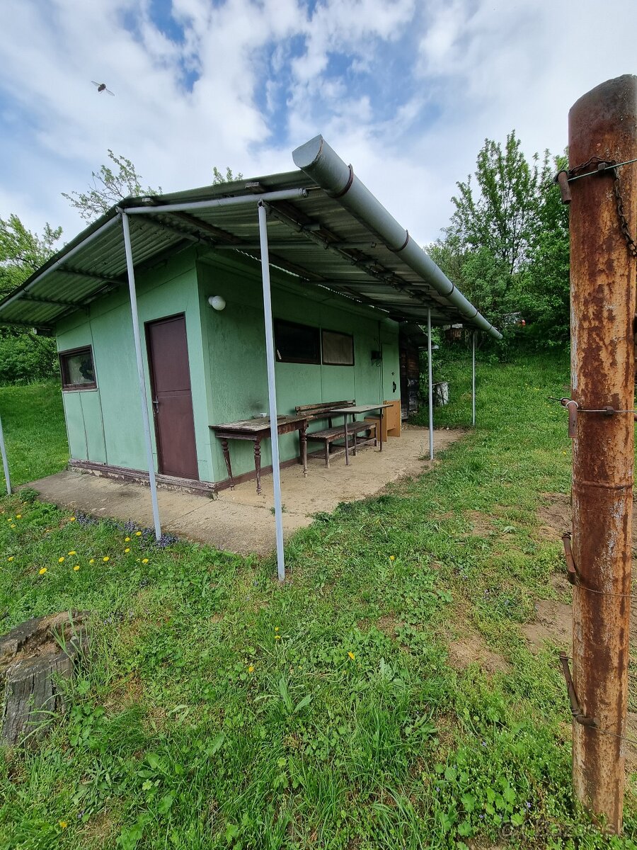 Na predaj vinohrad v meste Skalica - lokalita Žobráky - 6