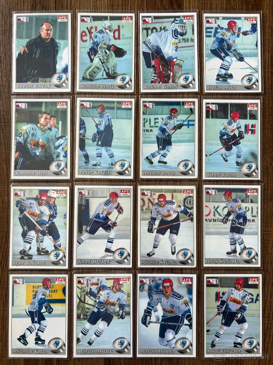 APS karty hokej 95/96 - 6