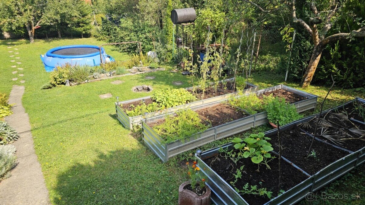 Záhrada s chatou - Čičky - Košice - záhradkárska lokalita - 6