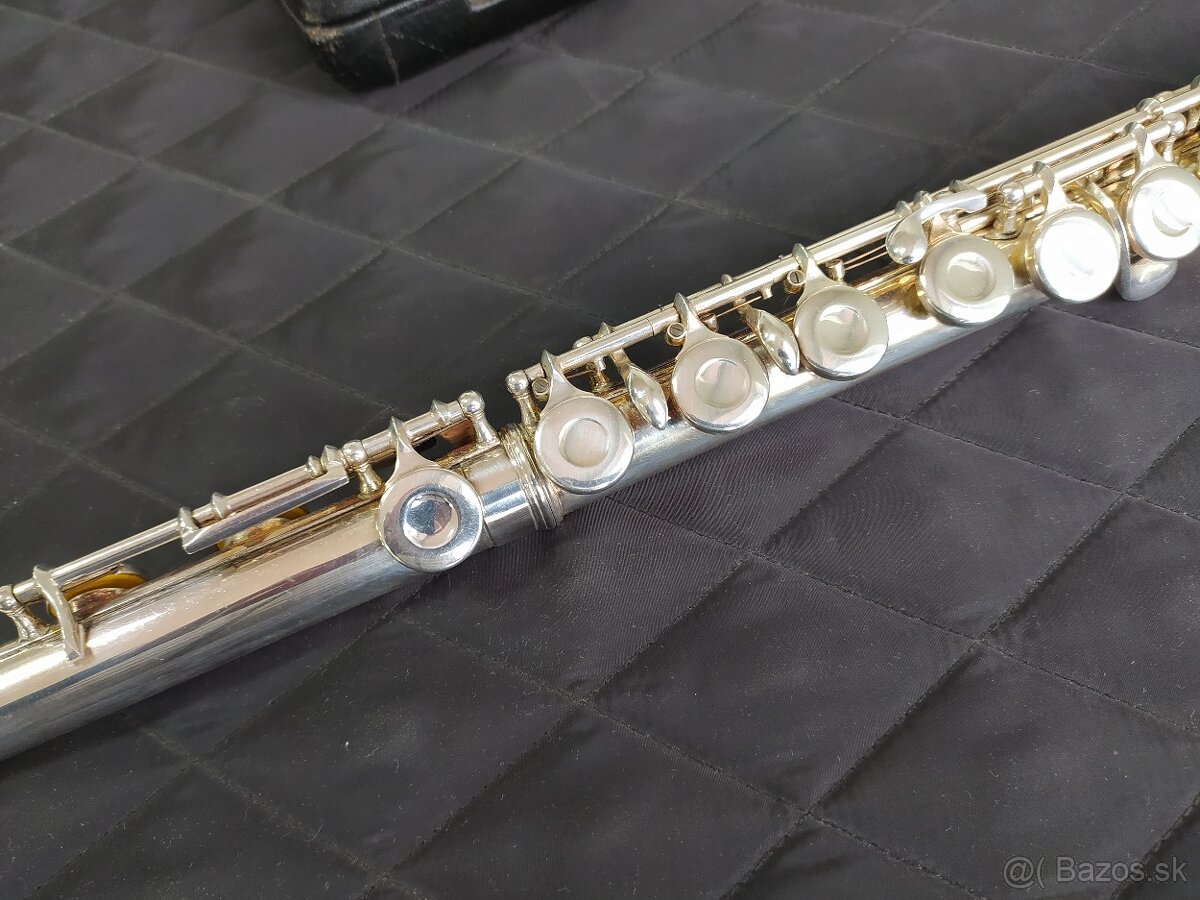 Master Student priecna flauta. - 6