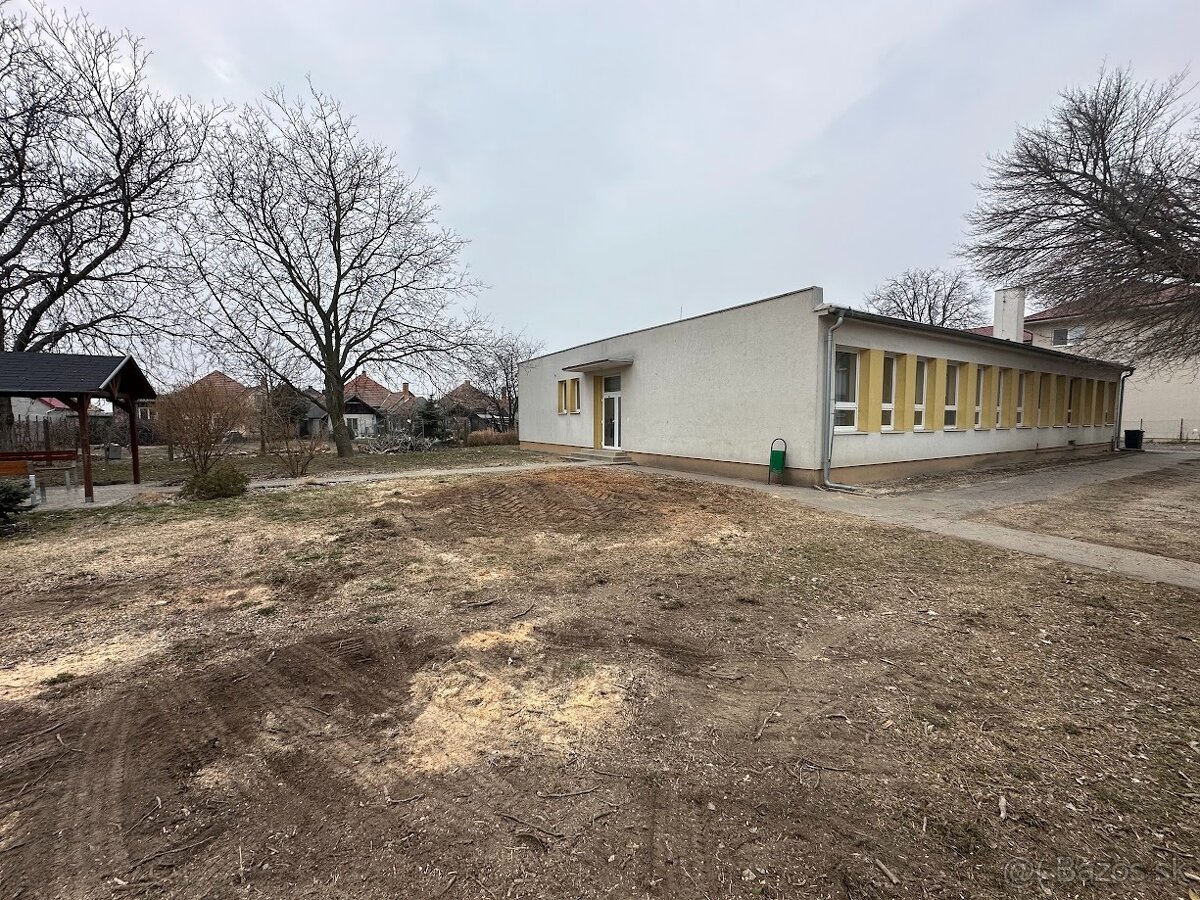 Arboristika, výrub a orez stromov - 6