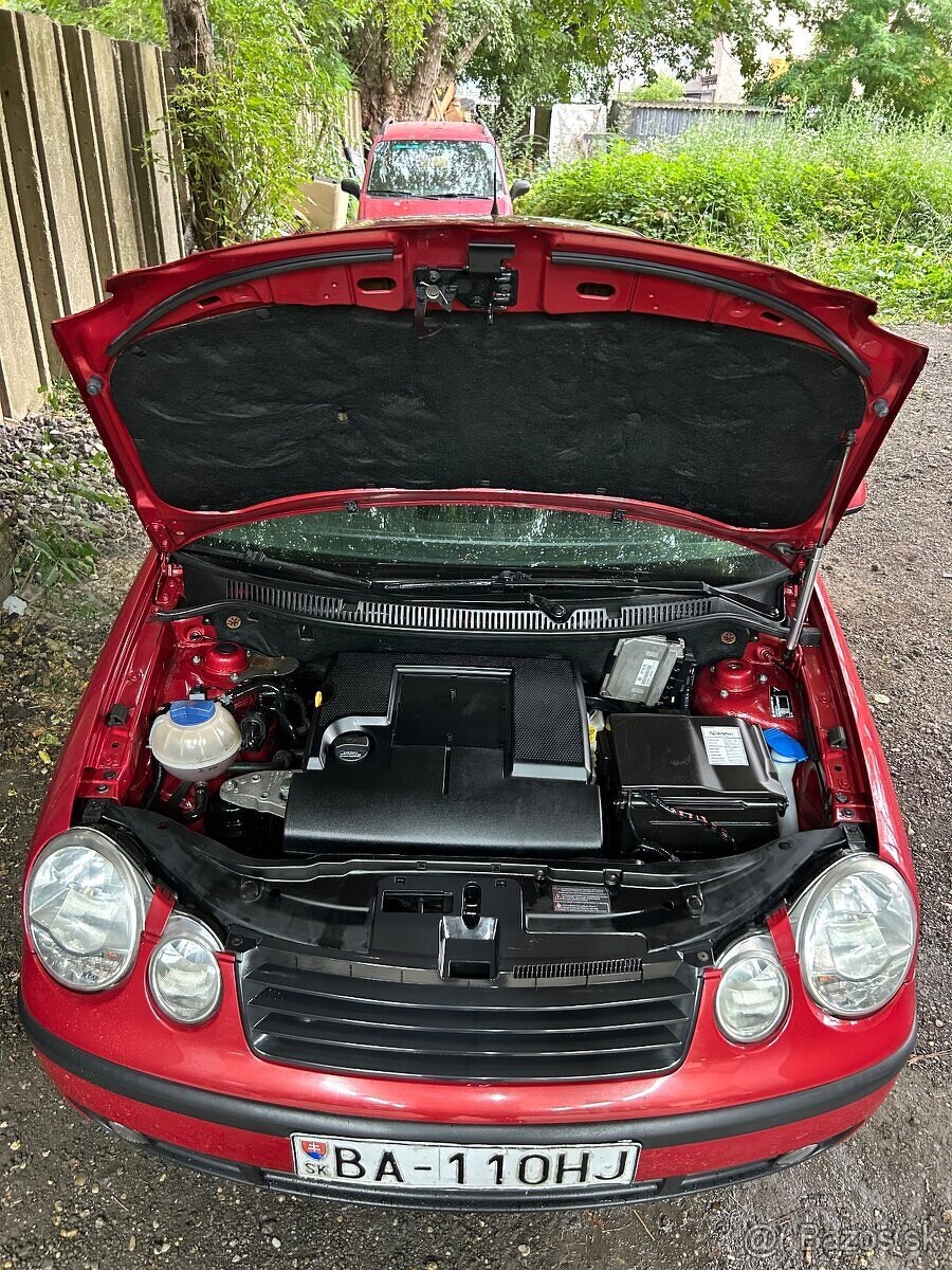 VW Polo 9N - 6