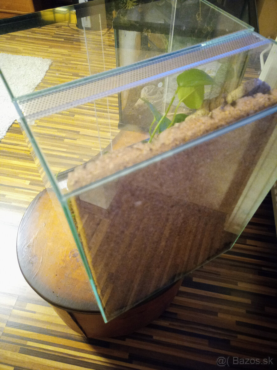 Zariadené terárium 30x30x40 pre tropického miláčika - 6