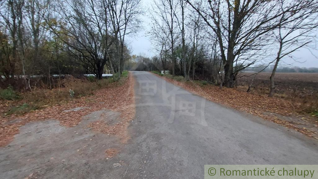 Pozemok vhodný na záhradu pri lesíku na predaj Holíč. - 6