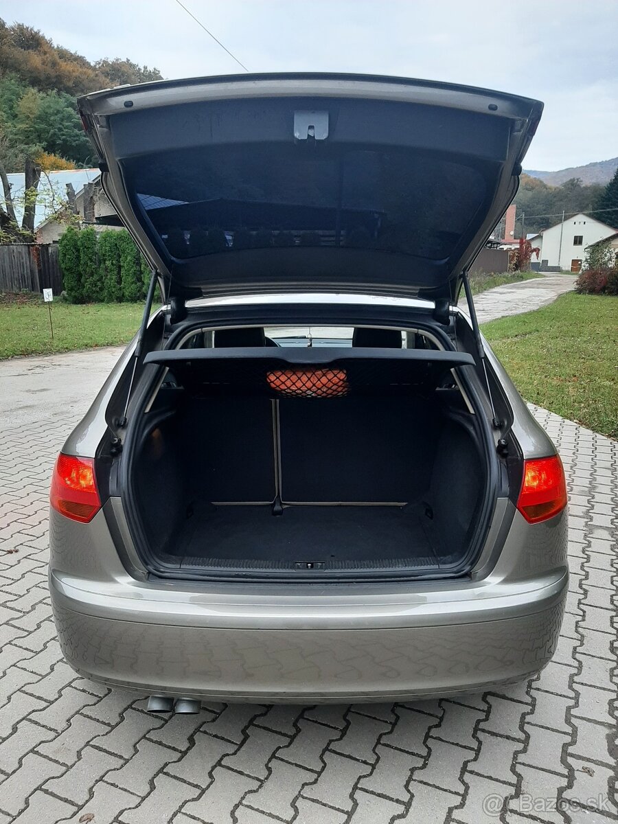 Audi a3 8P sportback bez dpf 1.9tdi 77kw - 6