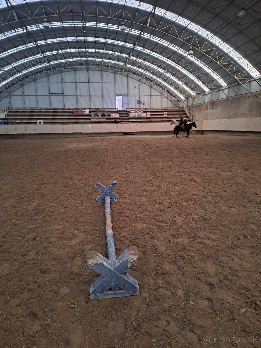 Ustajnenie koní - 6