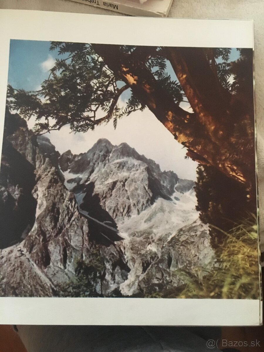 Odborné knihy-záhradnícke - 6