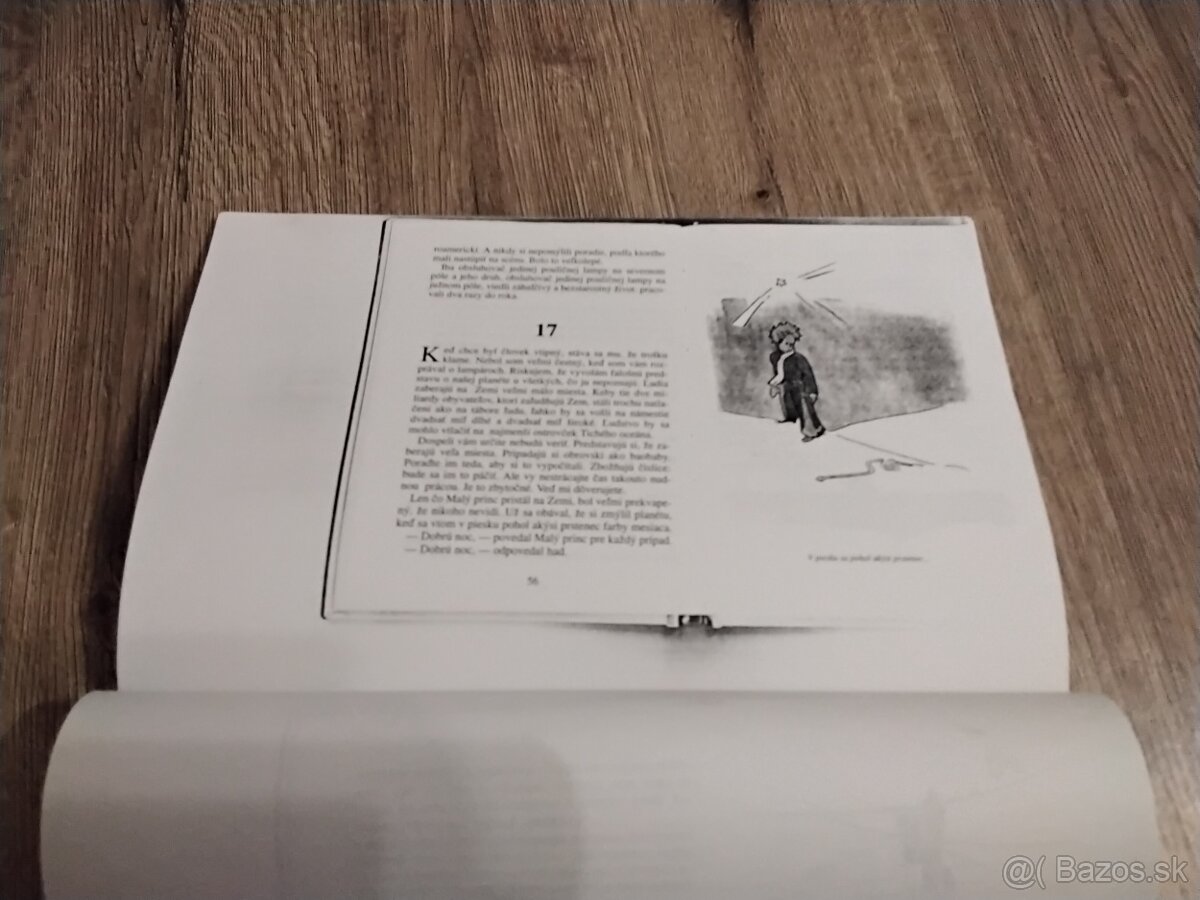 Slovníky a knihy - 6