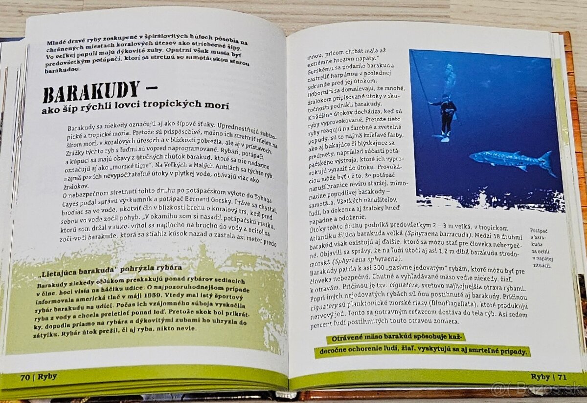 55 Najnebezpečnejších zvierat sveta - 6