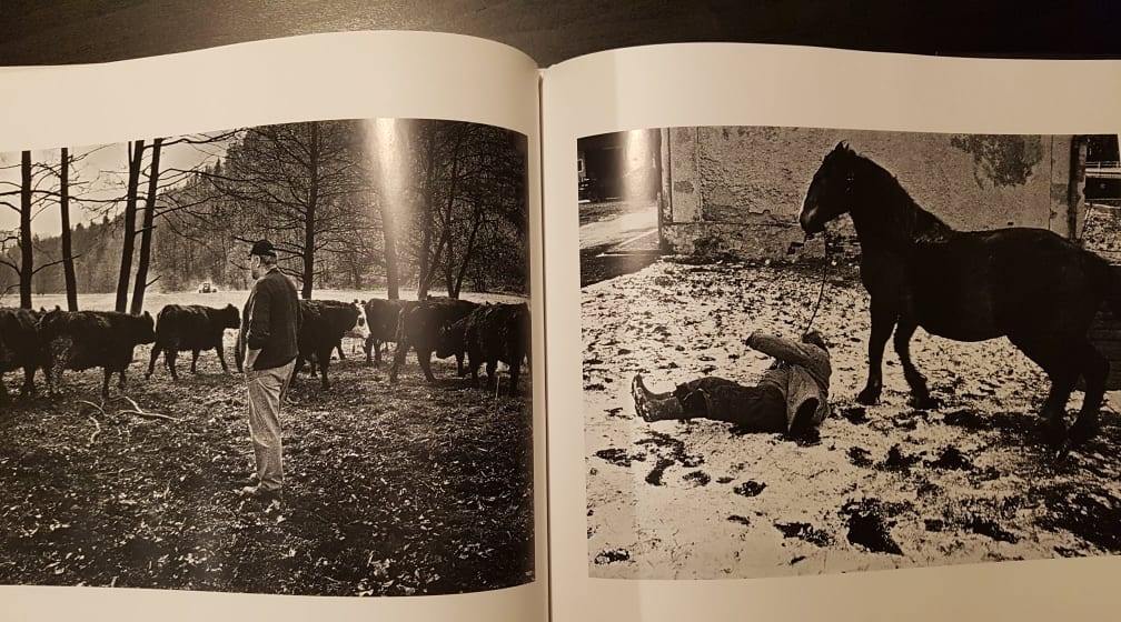 Jindrich Štreit - 6