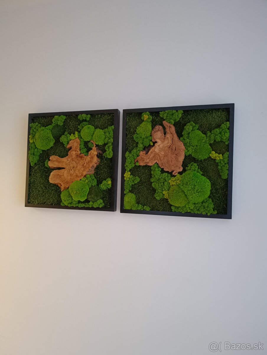 Machový obraz OLIVA - 6