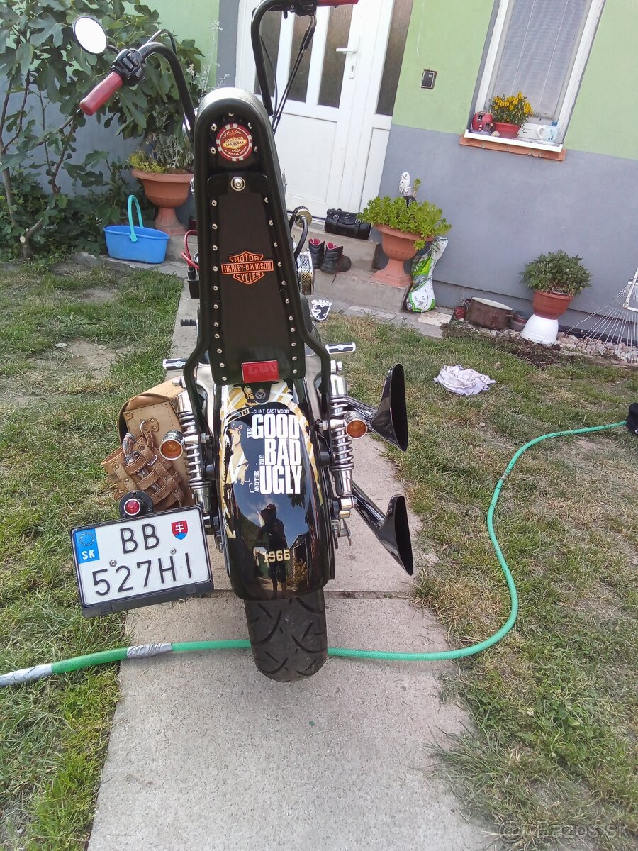 ZIMNA CENA Harley Davidson 883 - 6