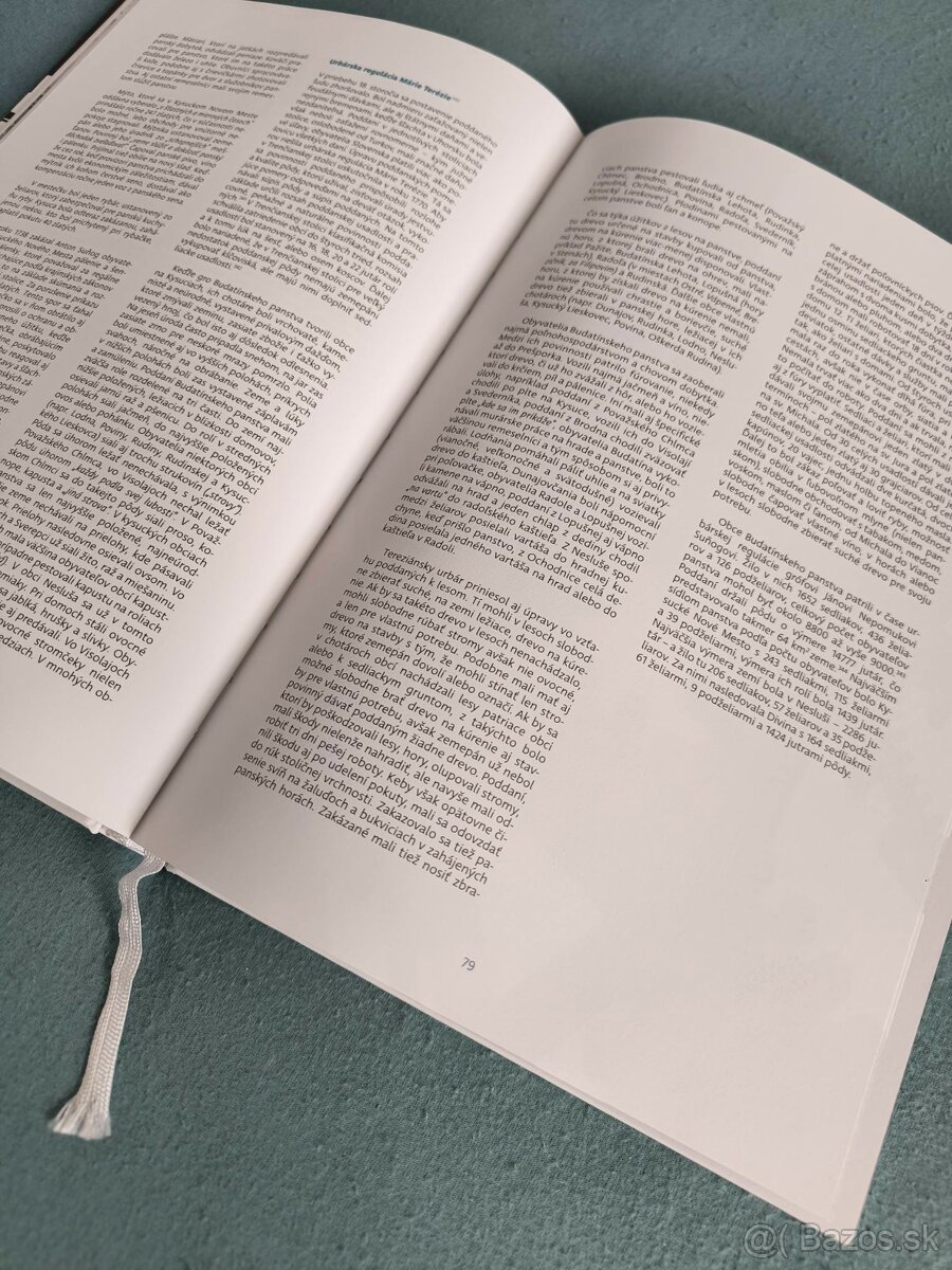 Budatínsky hrad - 6