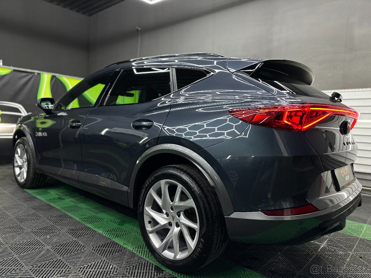 Cupra Formentor 2.0 TDI 150k 4Drive DSG - 6