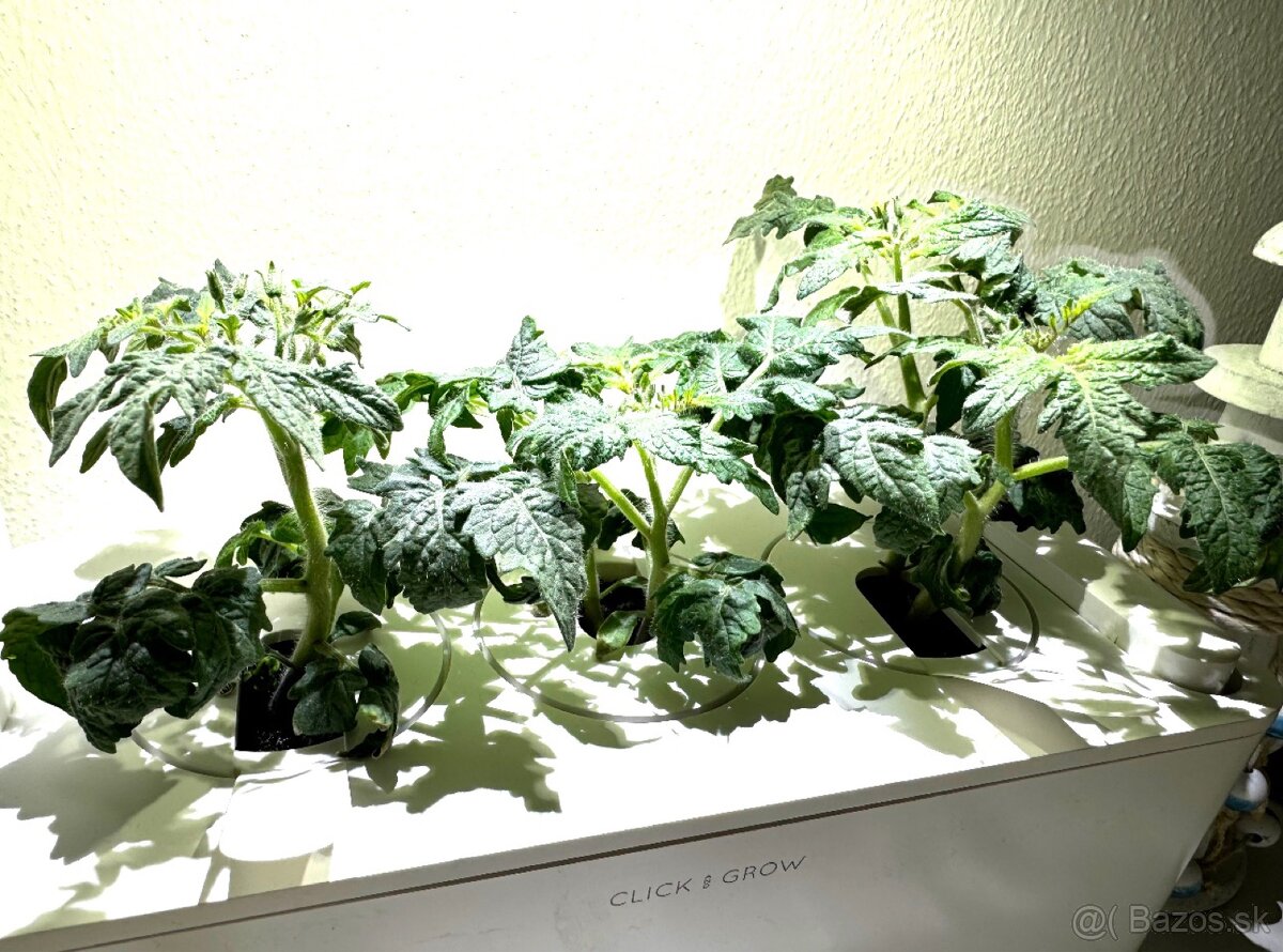 Inteligentný kvetináč Click & Grow Smart Garden 3 (biely) - 6