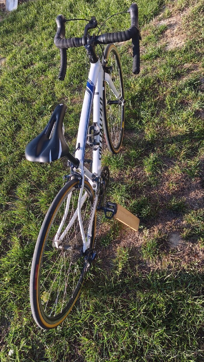 Specialized dolce 44cm - 6