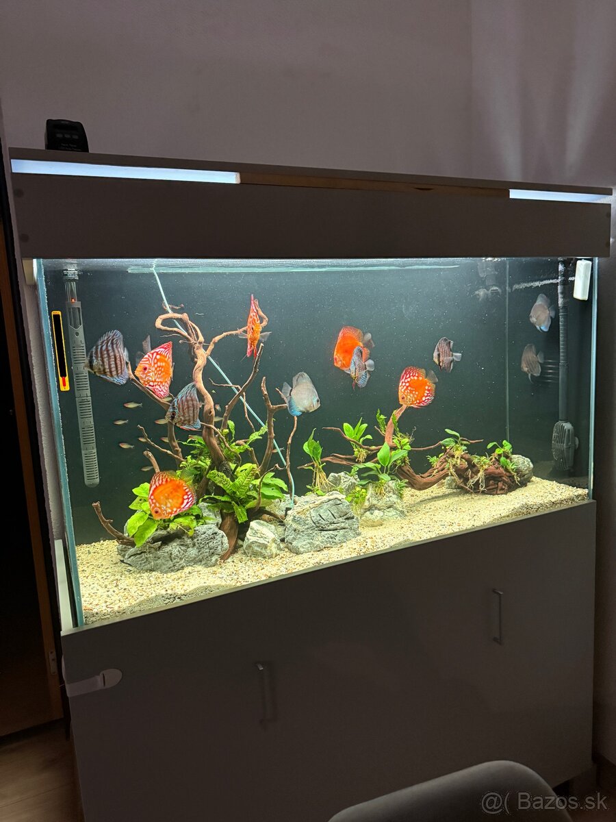 455l Akvarium - 6