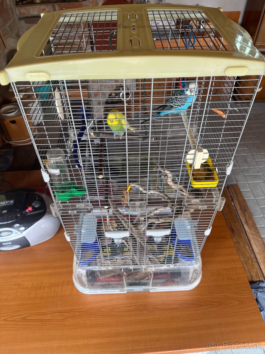Len do milujucej rodiny Parik samec + samicka 🦜🦜 Andulky - 6
