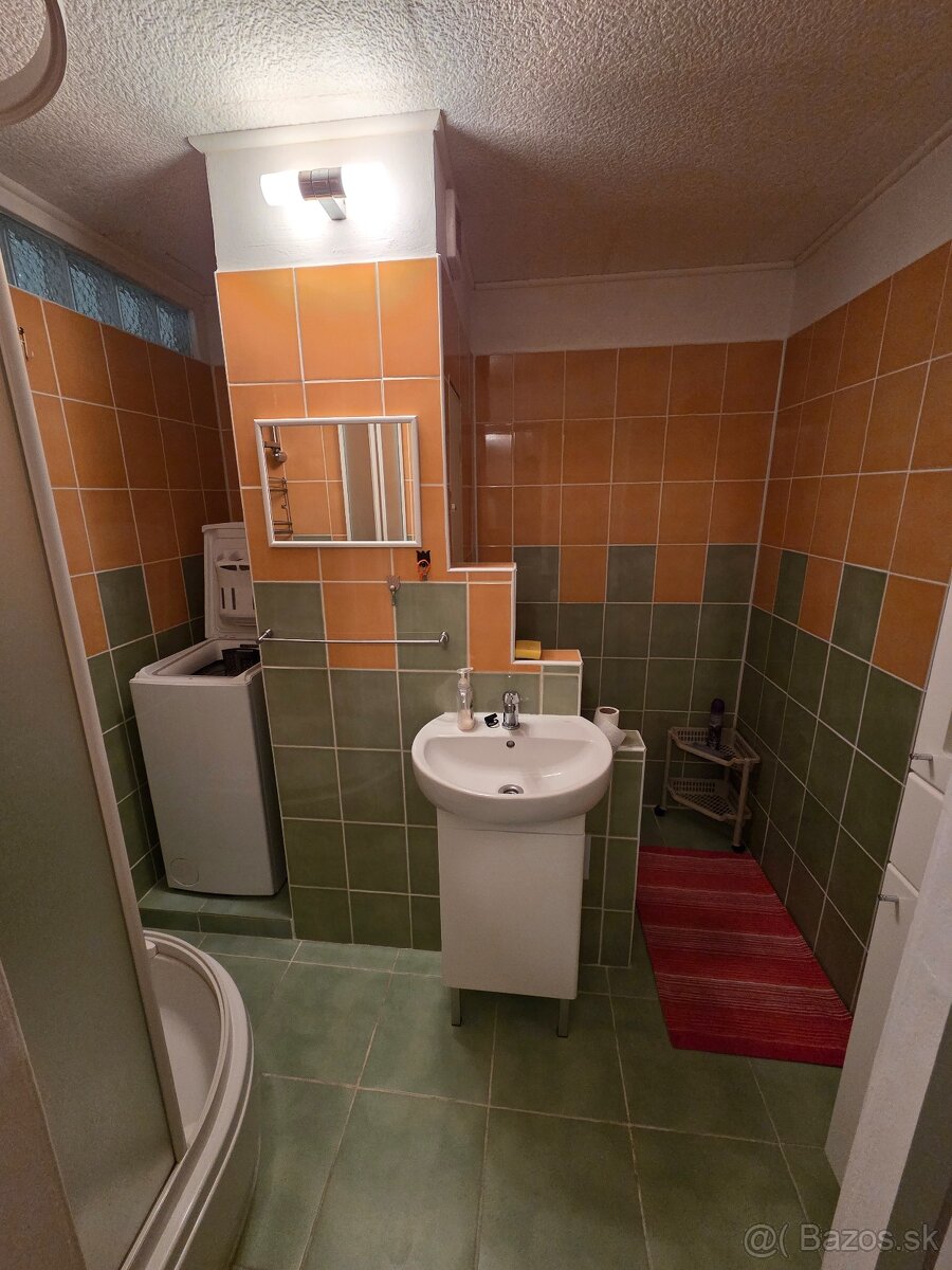 1.izbový byt - Novosady - 6