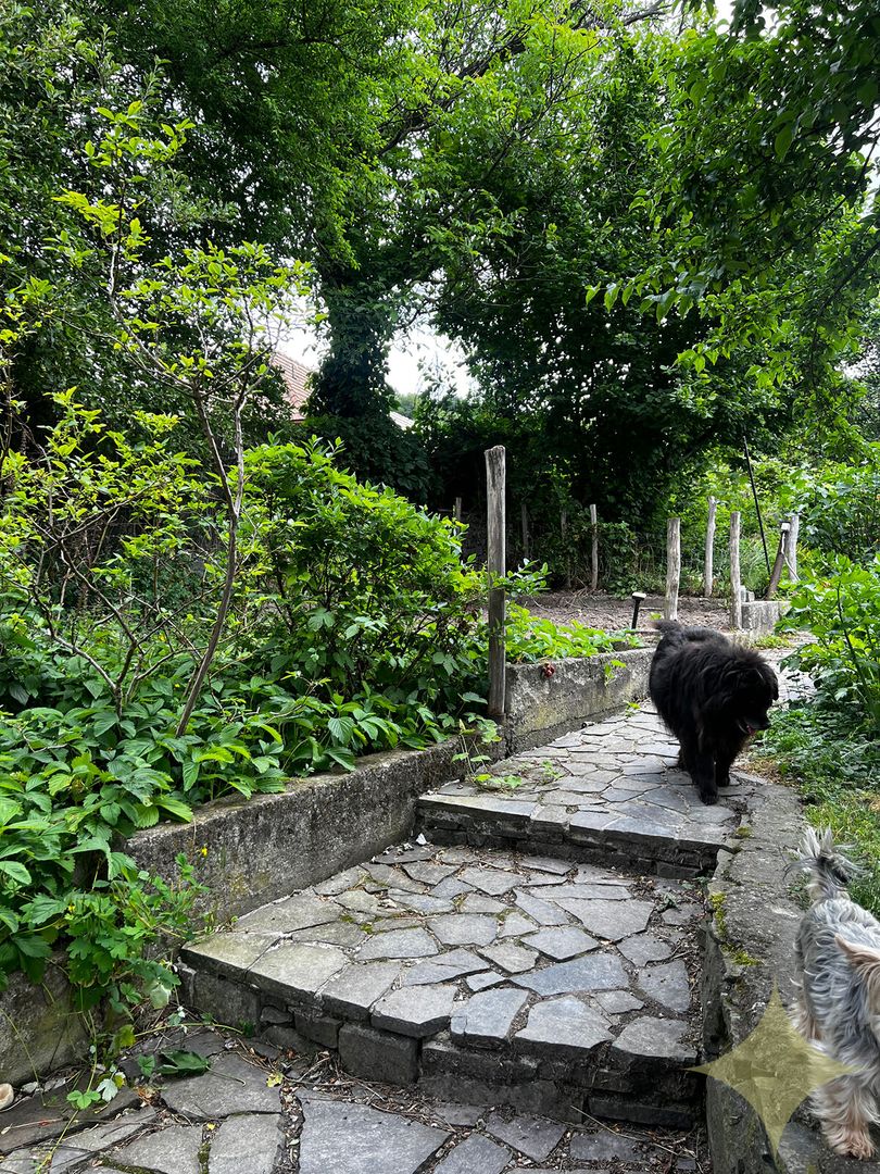 Predaj dvoch vidieckych rodinných domov - 6