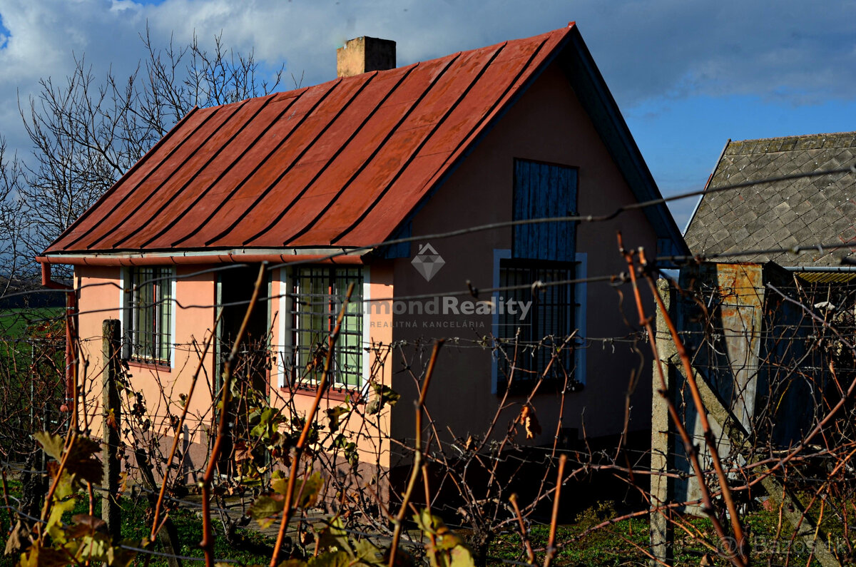 Záhradný domček s vinohradom - 6