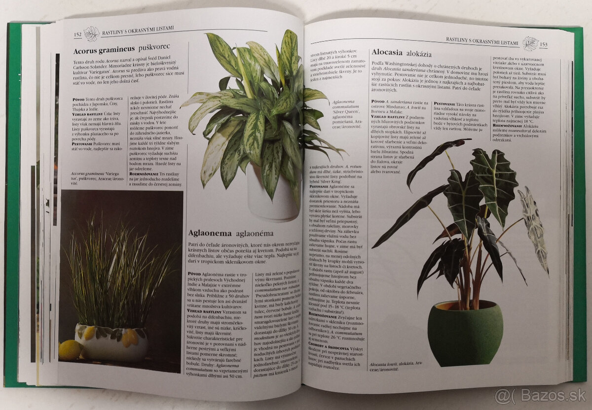 Bývame s kvetinami - 6