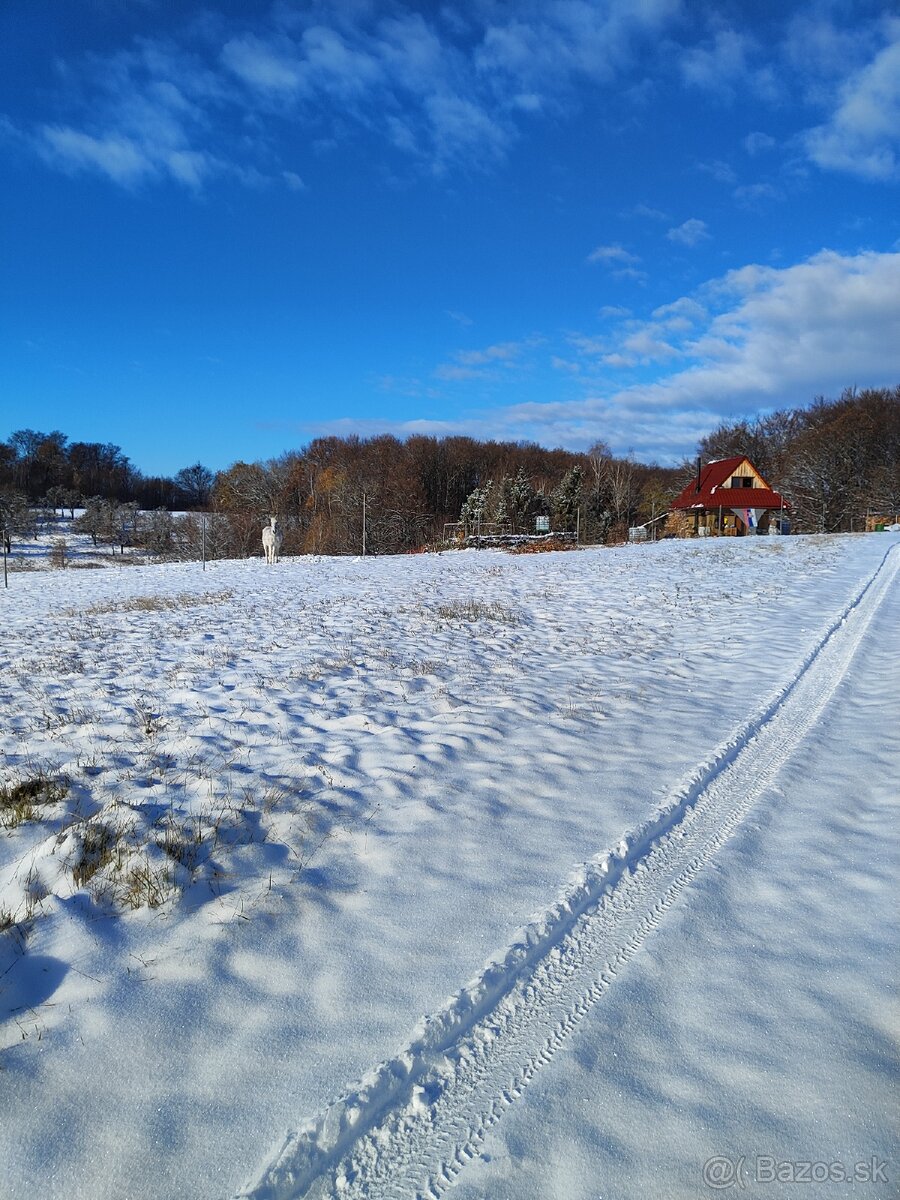 Priestor lásky/ Rodový statok - 6