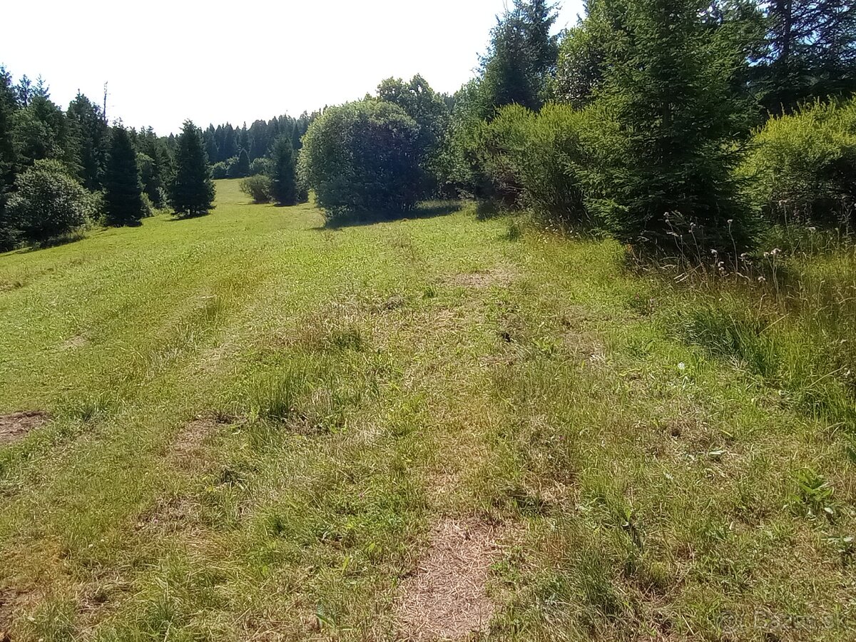 Orná pôda Lokca - 6