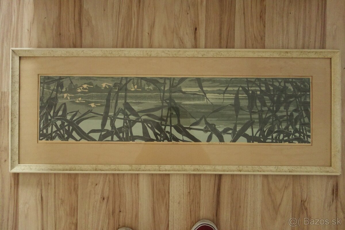 Obraz - Botanský - návrat - 6