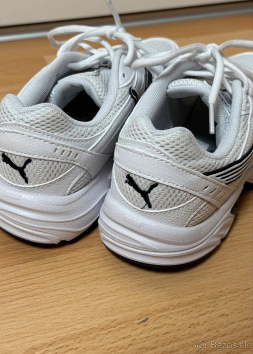 Puma axis - 6