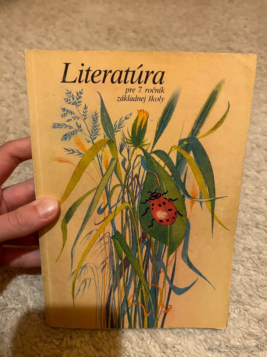 Učebnice Slovenský jazyk a Literatúra - 6