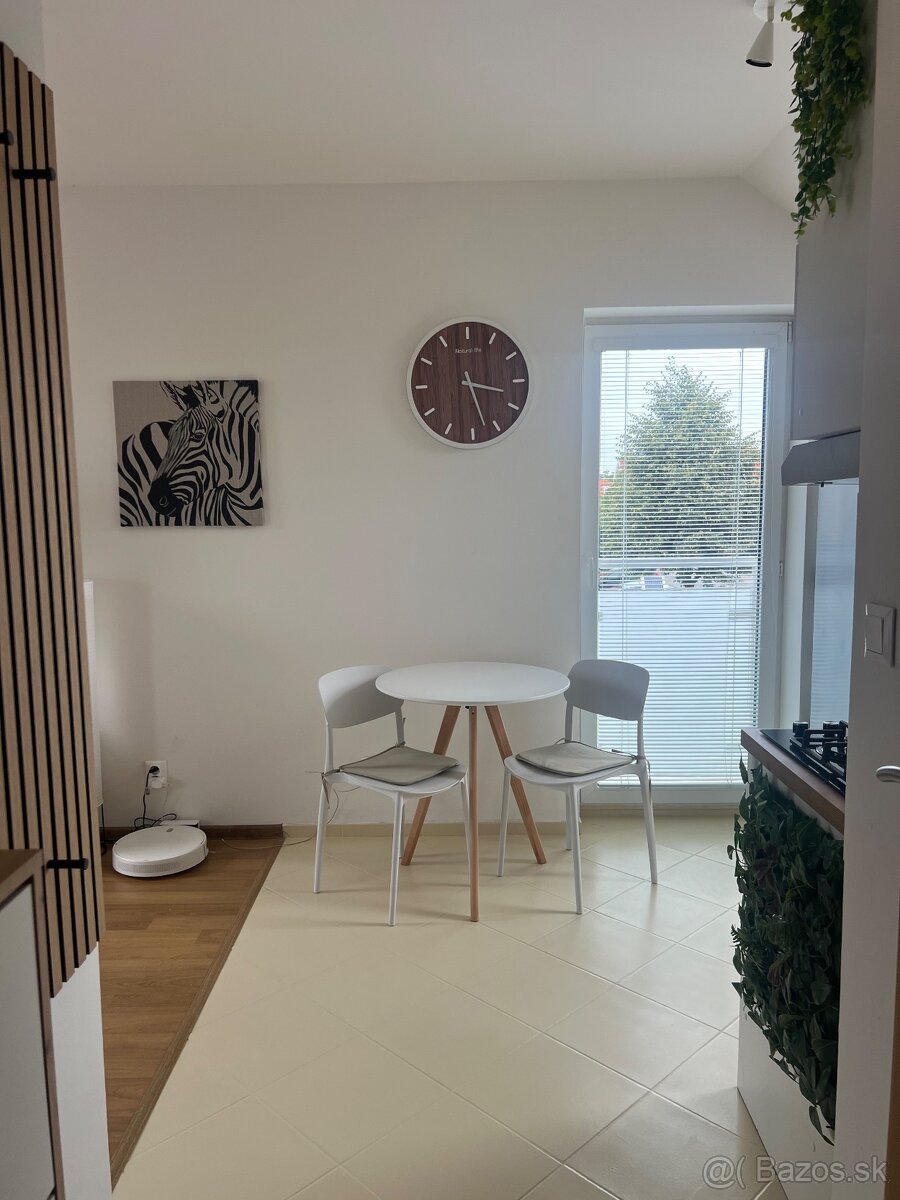 PETFRIENDLY 1-izbový byt so záhradkou (Biely Kostol) - 6