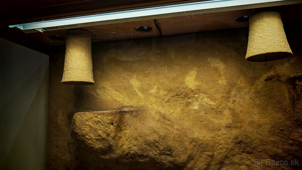 ✅ Terárium 114x71x45 s 3D stenou - 6