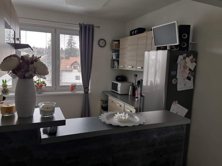 Predaj 1 izbový byt s loggiou, záhradou a pivnicou - 6