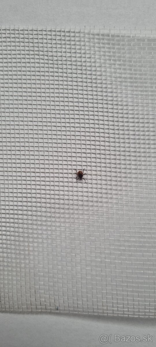 Sklovlaknova sieť proti hmyzu,okna,terasy,sušenie húb - 6