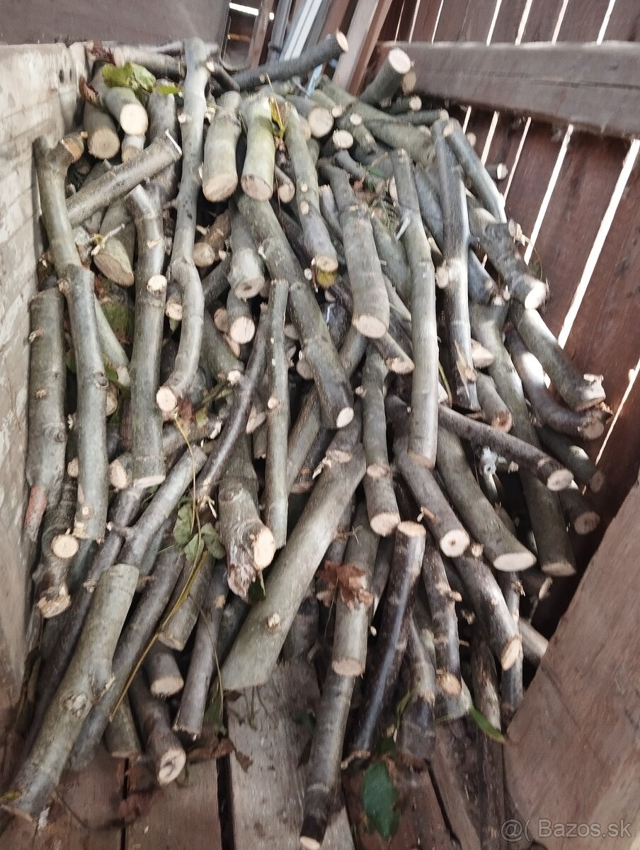 Orechové drevo-kmene palivové, kvalitné,už väčšie množstvo - 6