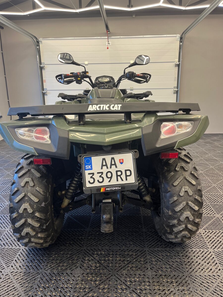 Arctic cat - 6