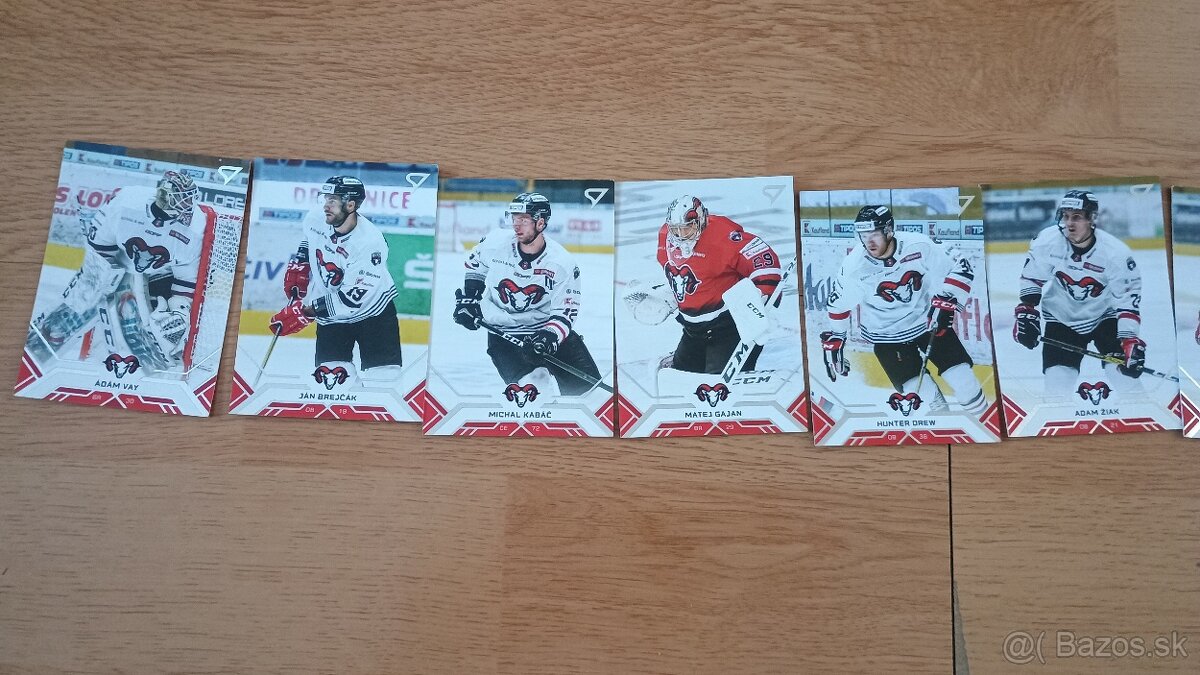 Hokejové kartičky Tipos extraliga 2020/21 - 6