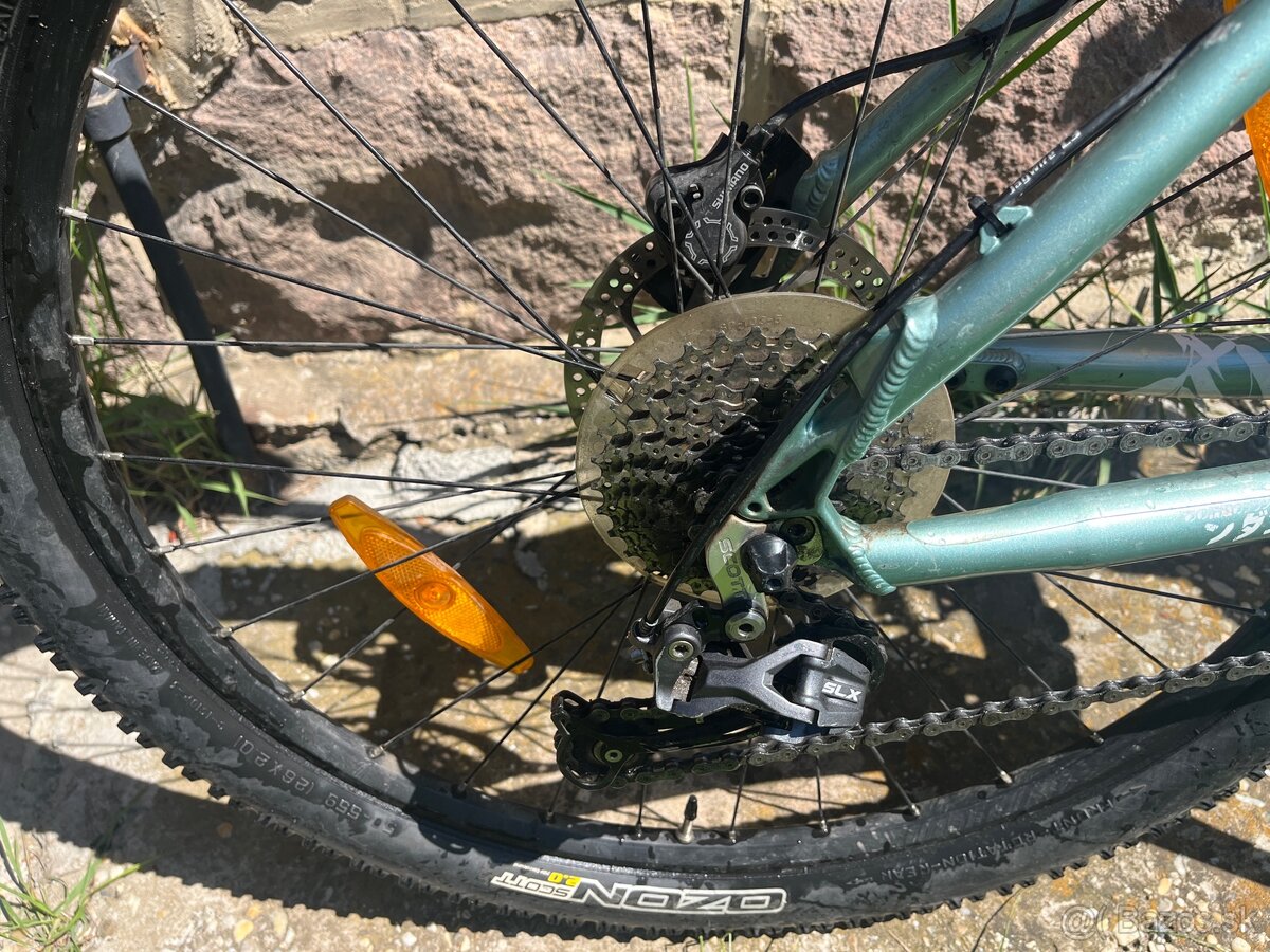 Scott contesa M(20) - 6